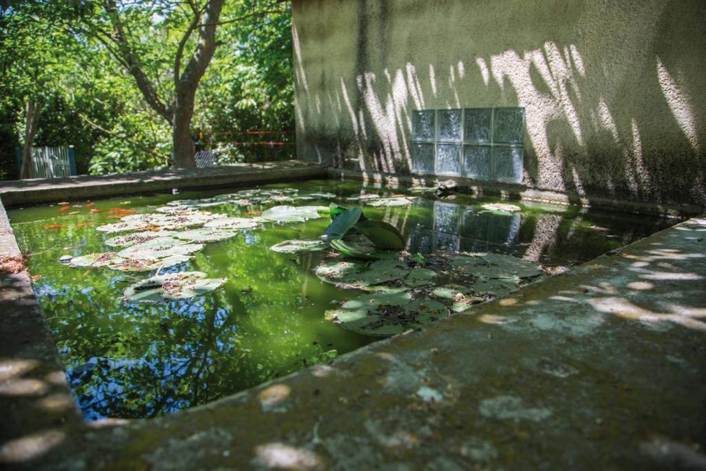 Authentique Mas Provencal Gemenos Βίλα Εξωτερικό φωτογραφία